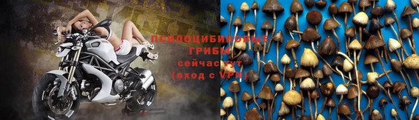 дмт Алзамай